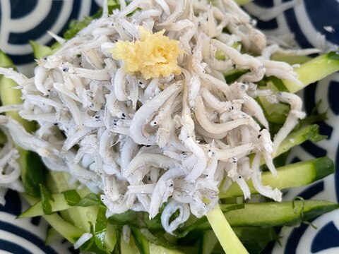 きゅうりとしらすをのせた豆腐サラダ